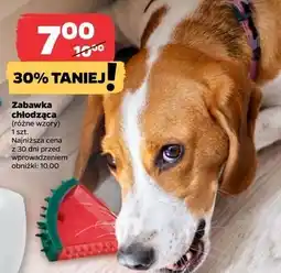Netto Zabawka dla psa chłodząca oferta
