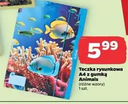 Netto Teczka rysunkowa a4 z gumką animals Herlitz oferta