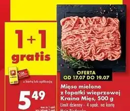Biedronka Mięso mielone z łopatki wieprzowej Kraina Mięsa oferta