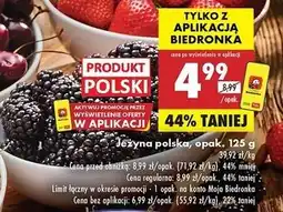 Biedronka Jeżyny polska oferta