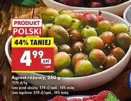 Biedronka Agrest różowy oferta
