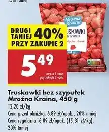 Biedronka Truskawki Mroźna Kraina oferta