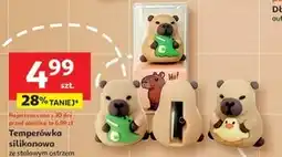 Auchan Temperówka oferta
