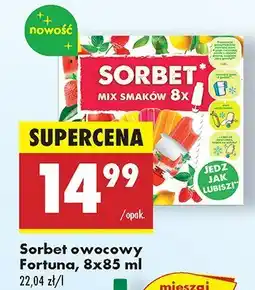Biedronka Sorbet owocowy 8-pak Fortuna oferta