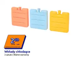 Action Wkłady chłodzące E oferta