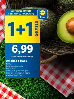 Lidl Awokado Hass Lidl oferta