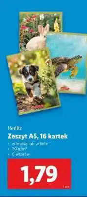 Lidl Herlitz Zeszyt A5, 16 kartek oferta