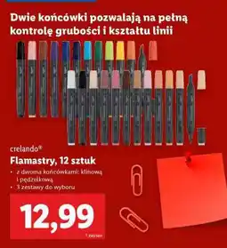 Lidl Flamastry, 12 sztuk oferta