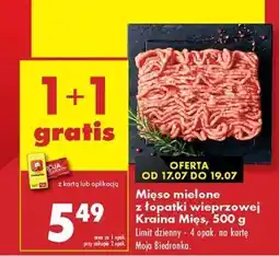 Biedronka Mięso mielone z łopatki wieprzowej Kraina Mięs 500 g oferta