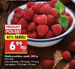 Biedronka Malina polska, opak. 200 g oferta
