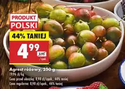 Biedronka Agrest różowy, 250 g oferta