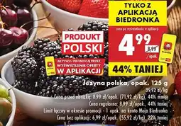 Biedronka Jeżyna polska, opak. 125 g oferta