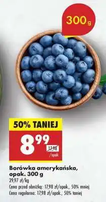 Biedronka Borówka amerykańska opak 300 g oferta