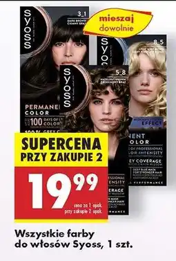Biedronka Wszystkie farby do włosów Syoss, 1 szt oferta