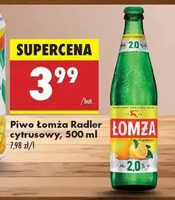 Biedronka Piwo Łomża Radler cytrusowy, 500 ml oferta