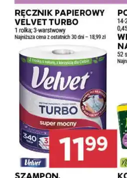 Stokrotka Ręcznik papierowy Velvet oferta