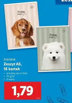Lidl Zeszyt a5/16 kartek linia Interdruk oferta