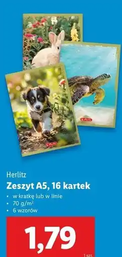 Lidl Zeszyt a5/16 k linia Herlitz oferta
