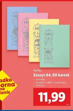 Lidl Zeszyt a4 60 kartek kratka Herlitz oferta