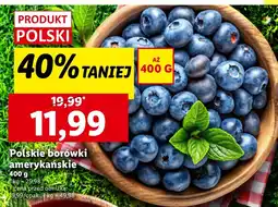 Lidl Borówki amerykańskie 400 g Lidl oferta