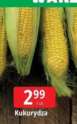 E.Leclerc Kukurydza Leclerc oferta