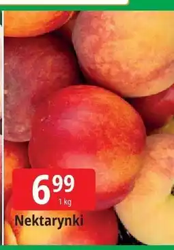 E.Leclerc Nektarynki Leclerc oferta