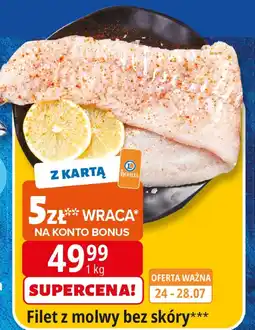E.Leclerc Filet z mołwy bez skóry Leclerc oferta
