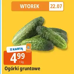 E.Leclerc Ogórki gruntowe Leclerc oferta