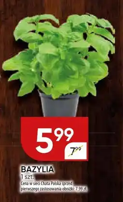 Chata Polska Bazylia Chata Polska oferta