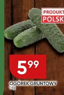Chata Polska Ogórek gruntowy Chata Polska oferta
