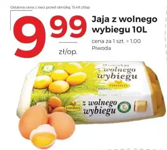 Frac Jaja Piwoda oferta