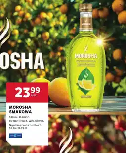 Stokrotka Cytrynówka Morosha oferta