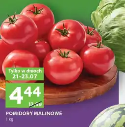 Stokrotka Express Pomidory oferta