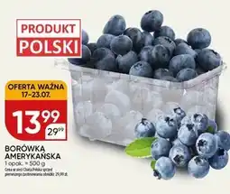 Chata Polska Borówka amerykańska Chata polska oferta