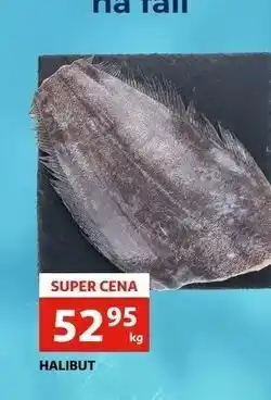 Auchan Halibut oferta
