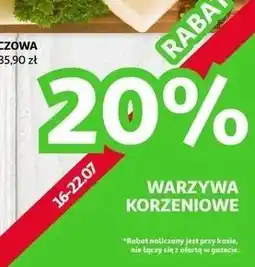 Auchan Warzywa korzeniowe oferta