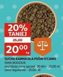 Auchan Karma dla psów O'canis oferta