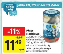 Intermarche Płaty śledziowe, wybrane rodzaje Z JEZIOR I MÓRZ oferta