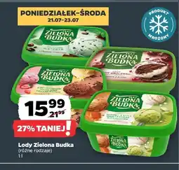 Netto Lody Zielona Budka różne rodzaje oferta