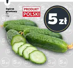 Netto Ogórek gruntowy luz 1 kg Netto oferta