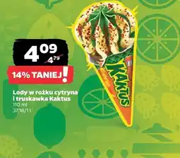 Netto Lody w rożku cytryna i truskawka Kaktus oferta