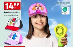 Biedronka Czapka z daszkiem Texo oferta