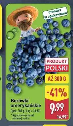 ALDI Borówki Polski oferta