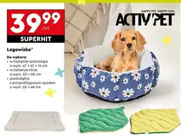 Biedronka Legowisko prostokątne 65 x 48 cm Activ Pet oferta