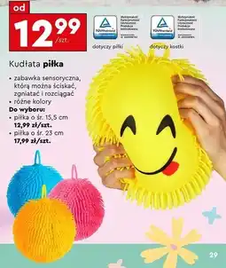 Biedronka Piłka kudłata 23 cm oferta