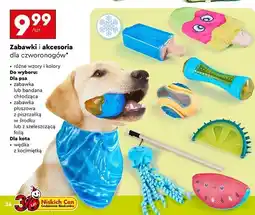 Biedronka Wędka dla kota Activ Pet oferta