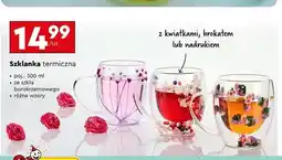 Biedronka Szklanka termiczna 300 ml oferta
