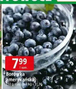 E.Leclerc Borówki amerykańskie oferta