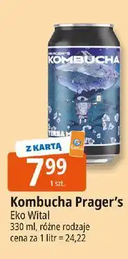 E.Leclerc Kombucha terba mate Premium Rosa oferta