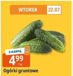 E.Leclerc Ogórek gruntowy oferta